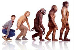 devolution