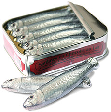sardines