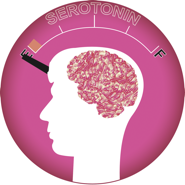 serotonin illustration