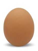 egg