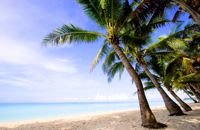 tropical paradise