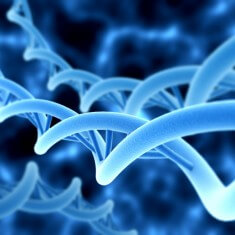 genetics