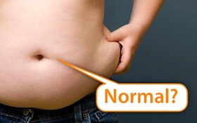 fat_normal