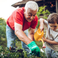 Though life expectancy in the U.S. is falling, active, healthy seniors—like this grandfather gardening with his grandson—can still enjoy long, fulfilling lives.