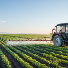 Tractor spraying soybean field at spring