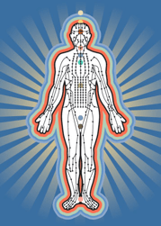 meridians