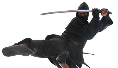 Paleo ninja