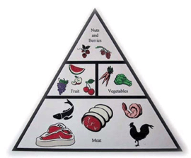 paleodiet