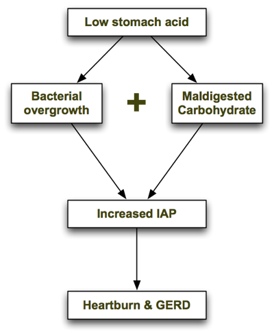 diagram of what causes gerd