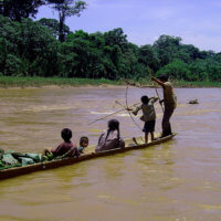 Tsimane